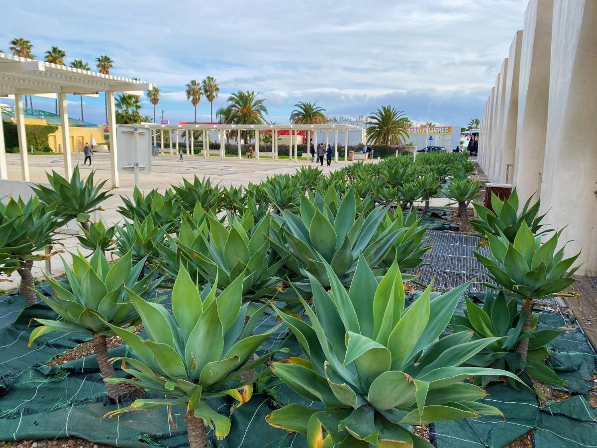 Menton Vacances Bagian luar foto
